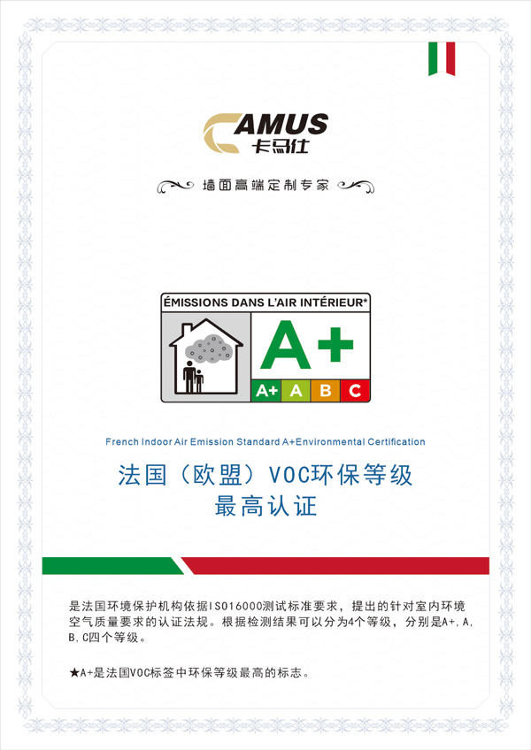 法国A+.jpg