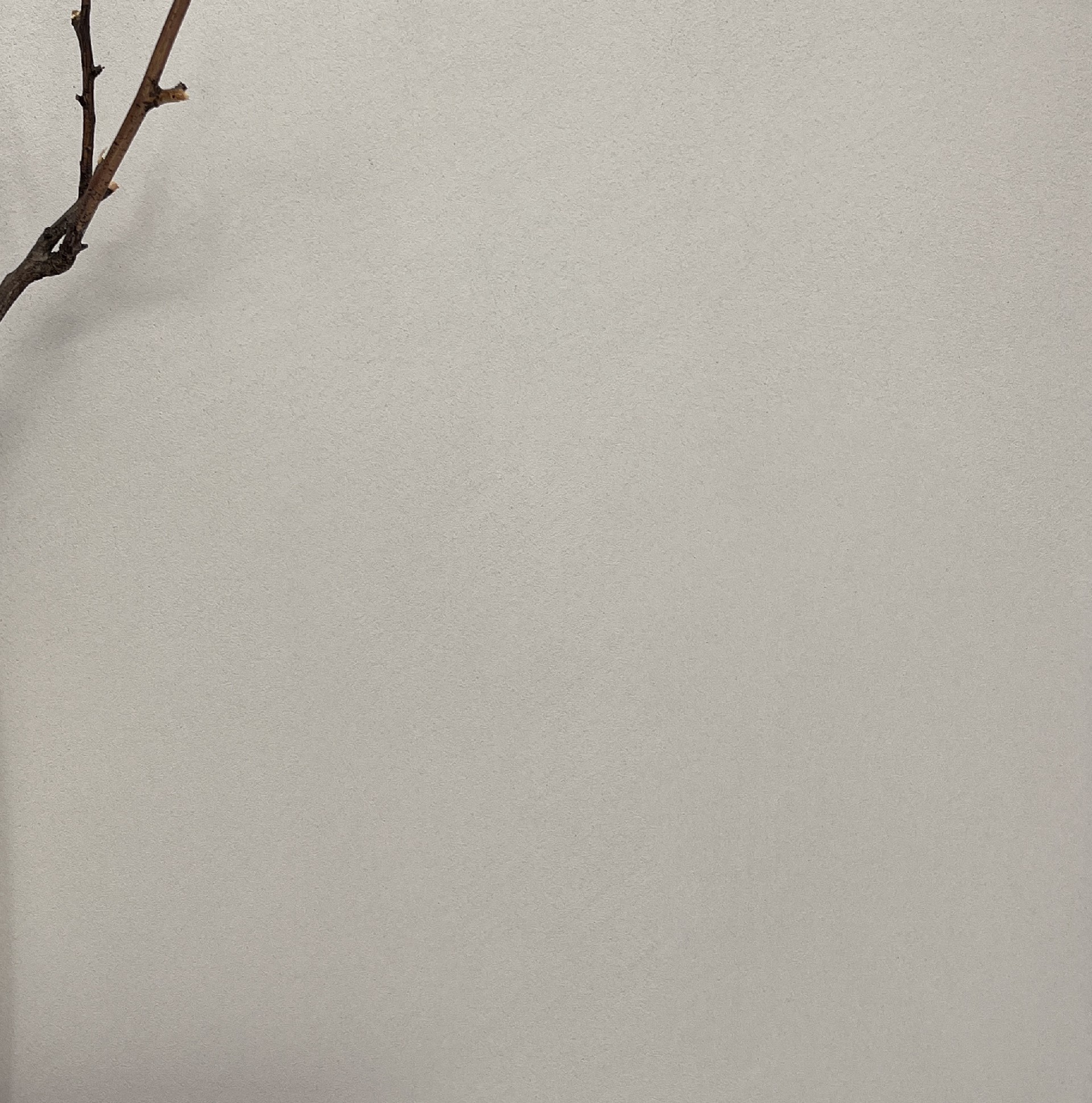 无机微水泥.jpg