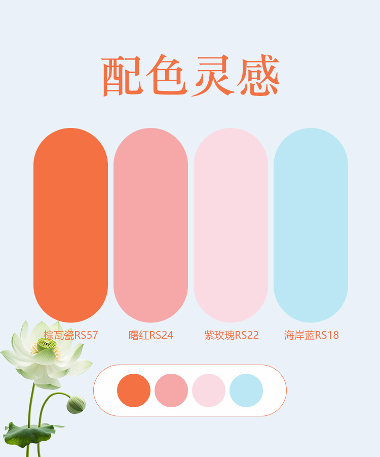 配色 夏至.jpg